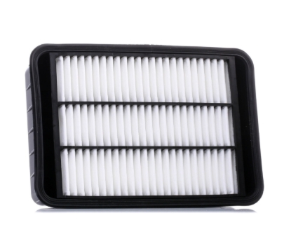 Picture of Air Filter for Peugeot 4007 (02/2007 - 03/2013)